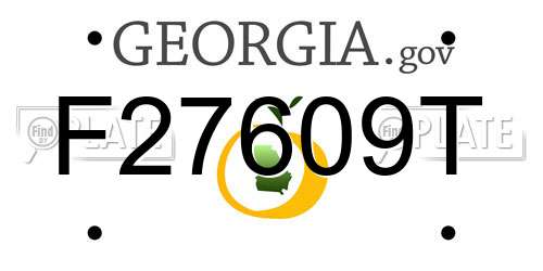 F27609T Georgia License Plate