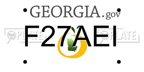 F27AEI Georgia License Plate
