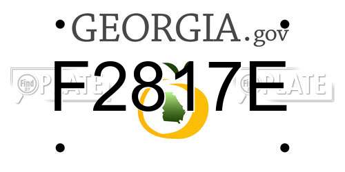 F2817E Georgia License Plate