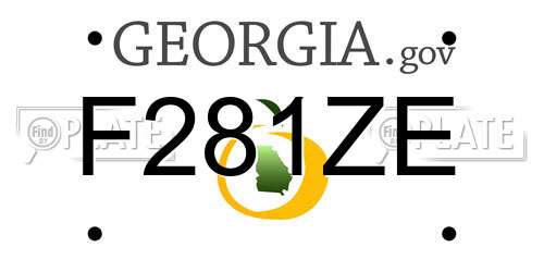 F281ZE Georgia License Plate