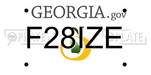 F28IZE Georgia License Plate