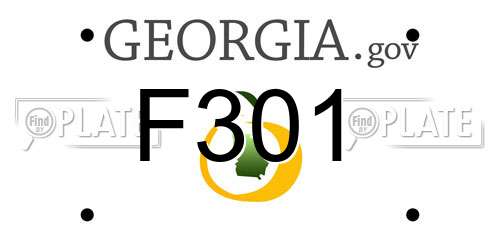 F301 Georgia License Plate