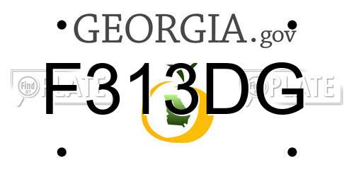 F313DG Georgia License Plate