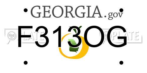 F313OG Georgia License Plate