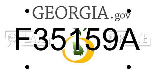 F35159A Georgia License Plate