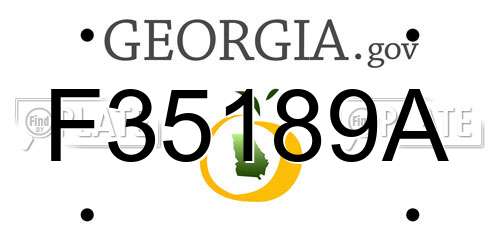 F35189A Georgia License Plate
