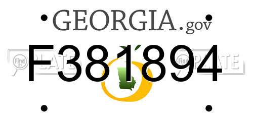 F381894 Georgia License Plate