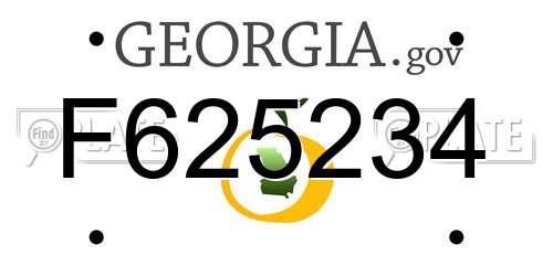 F625234 Georgia License Plate