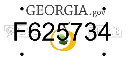 F625734 Georgia License Plate