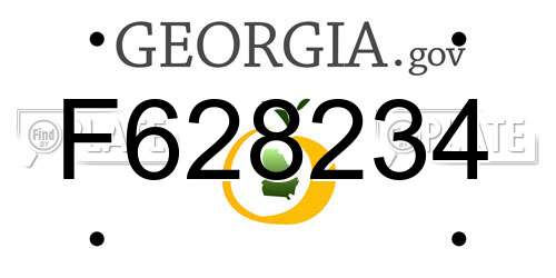 F628234 Georgia License Plate