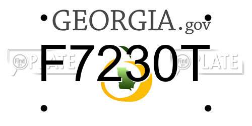 F7230T Georgia License Plate