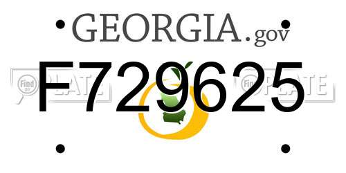 F729625 Georgia License Plate