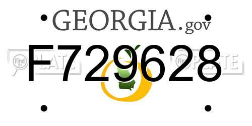 F729628 Georgia License Plate