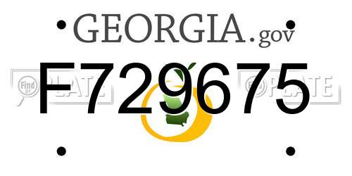 F729675 Georgia License Plate