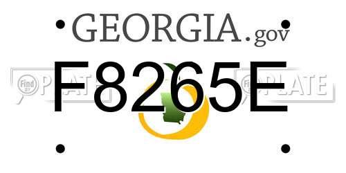 F8265E Georgia License Plate