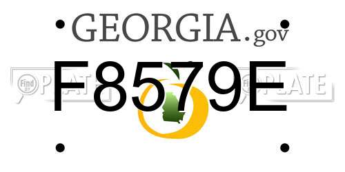 F8579E Georgia License Plate