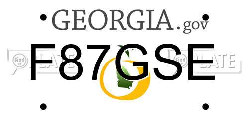 F87GSE Georgia License Plate