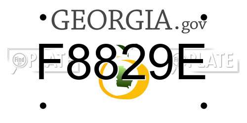 F8829E Georgia License Plate