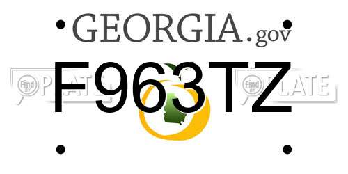 F963TZ Georgia License Plate