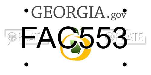 FAC553 Georgia License Plate