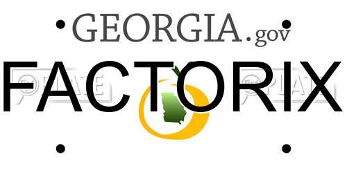 FACTORIX Georgia License Plate