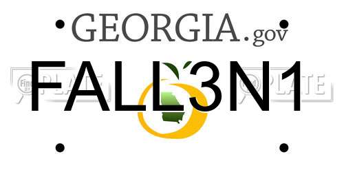 FALL3N1 Georgia License Plate