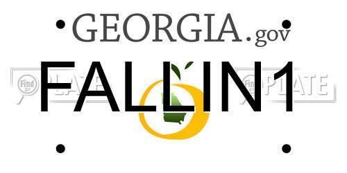 FALLIN1 Georgia License Plate