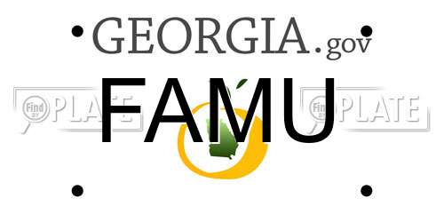 FAMU Georgia License Plate