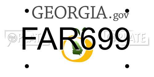 FAR699 Georgia License Plate