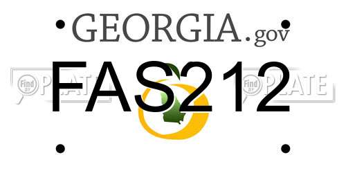 FAS212 Georgia License Plate