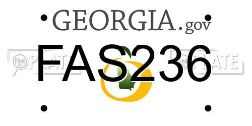 FAS236 Georgia License Plate