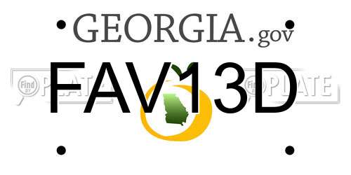 FAV13D Georgia License Plate