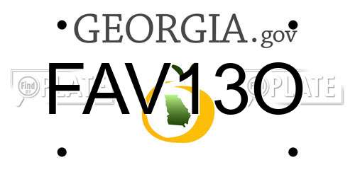FAV13O Georgia License Plate