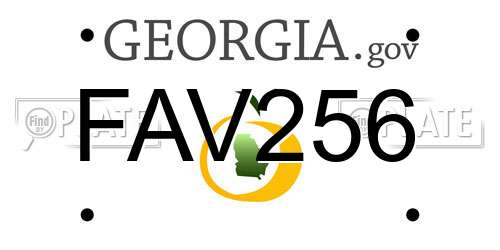 FAV256 Georgia License Plate