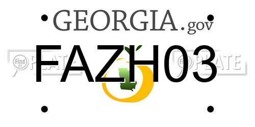 FAZH03 Georgia License Plate