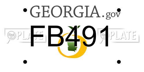 FB491 Georgia License Plate