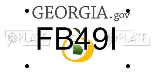 FB49I Georgia License Plate