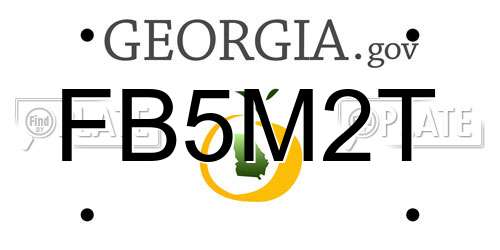 FB5M2T Georgia License Plate