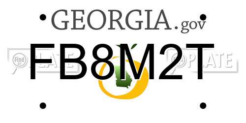 FB8M2T Georgia License Plate