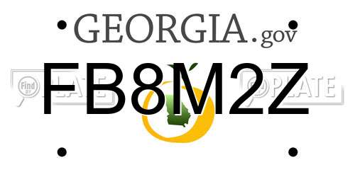 FB8M2Z Georgia License Plate
