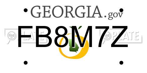 FB8M7Z Georgia License Plate