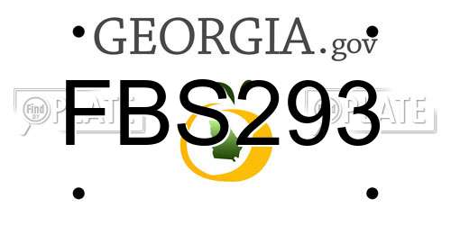 FBS293 Georgia License Plate
