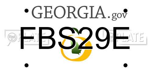 FBS29E Georgia License Plate
