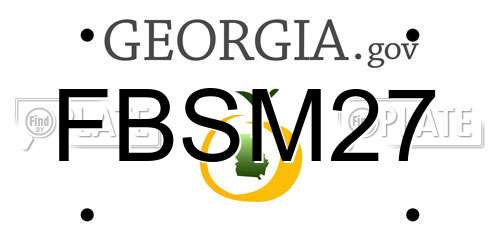 FBSM27 Georgia License Plate