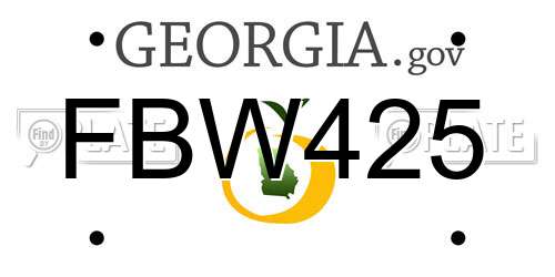 FBW425 Georgia License Plate