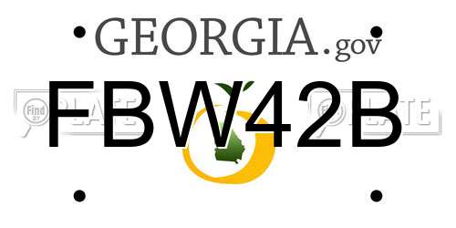 FBW42B Georgia License Plate