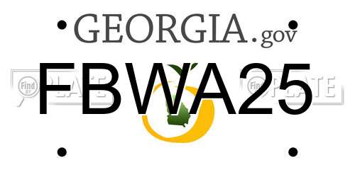 FBWA25 Georgia License Plate