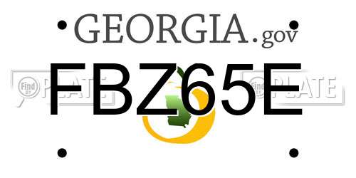 FBZ65E Georgia License Plate