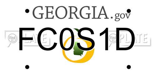 FC0S1D Georgia License Plate
