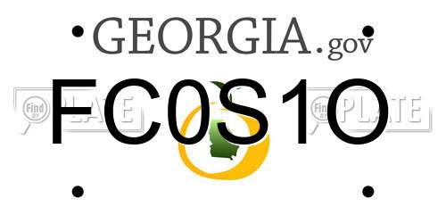 FC0S1O Georgia License Plate